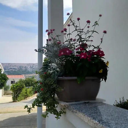 Edina Pag * Pag Town